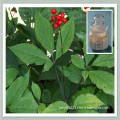 ginseng root extract anticancer